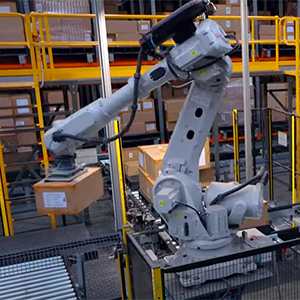 Palletizer robot stacks boxes on a pallet