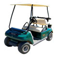 Golf Carts & Personnel Carriers
