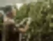 Marijuana & Hemp Grow Room Supply List & Guide