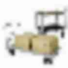 Carts & Trucks