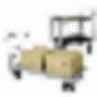 Carts & Trucks