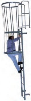 12’ Standard Fixed Steel Ladder w/ Cage